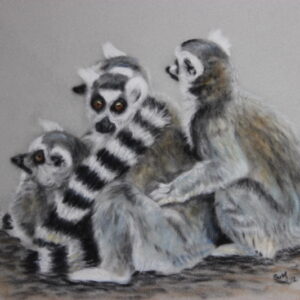 Family of Lemurs