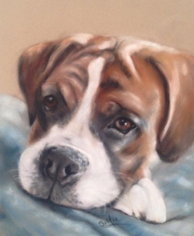 Boxer dog painting