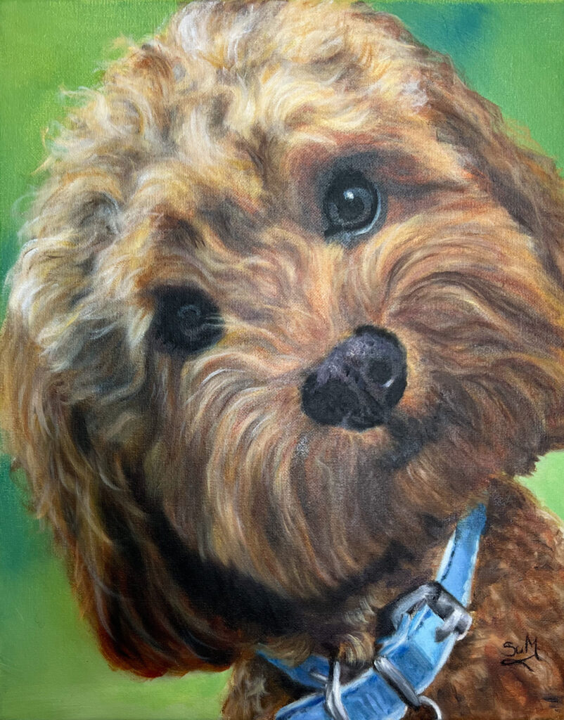 Vibrant oil pet portrait of a cockerpoo dog