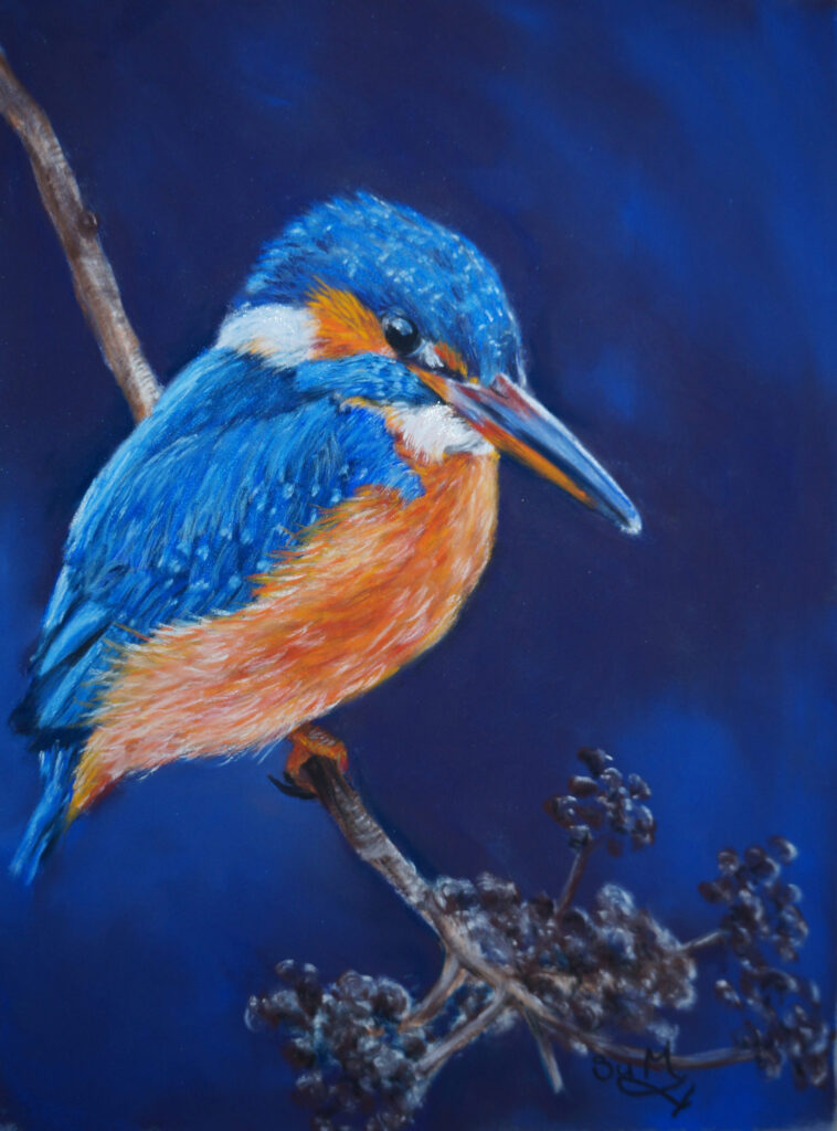 Kingfisher