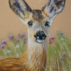 Roe Deer Art Kit