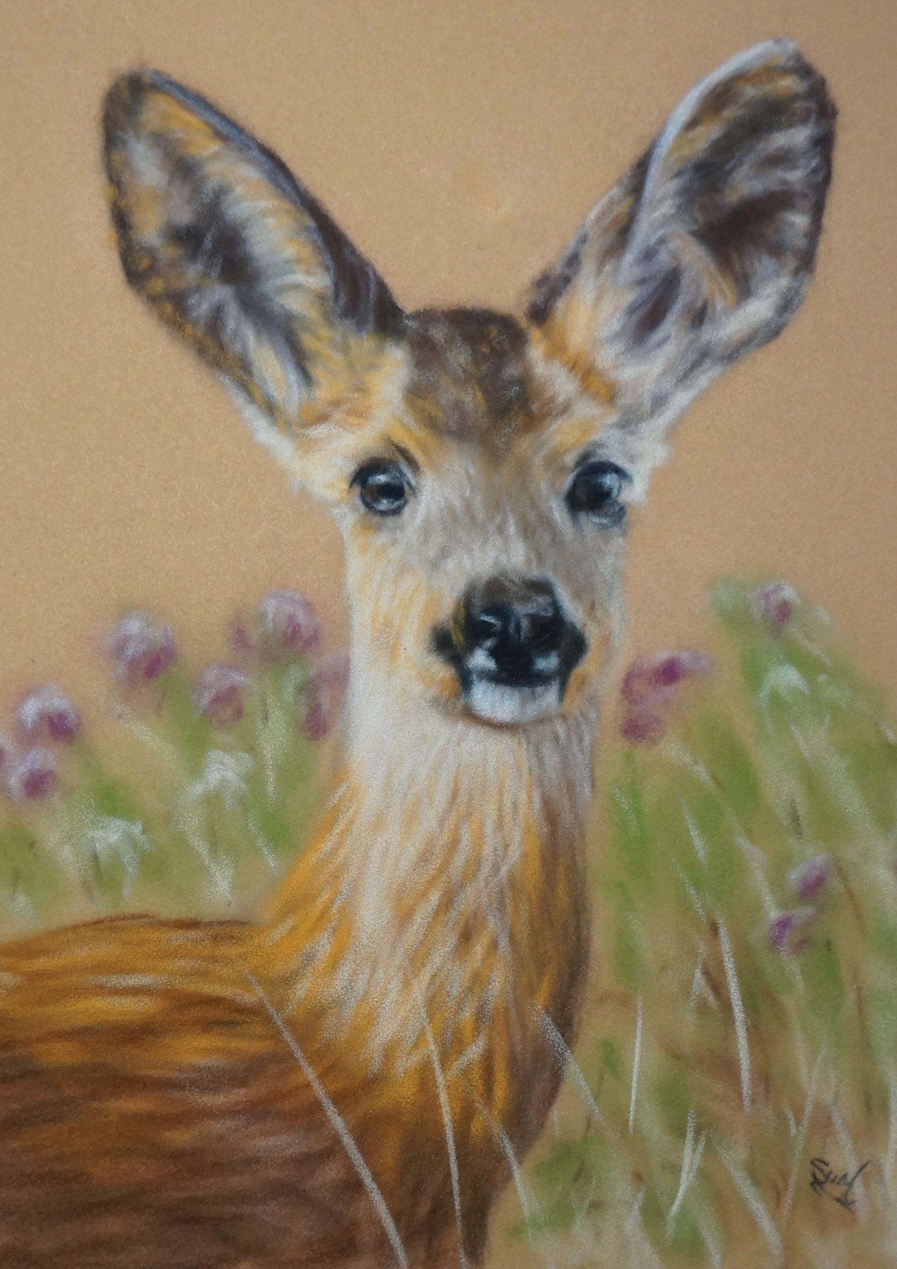 Roe Deer Pastel Art Kit