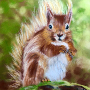 Red Squirrel art