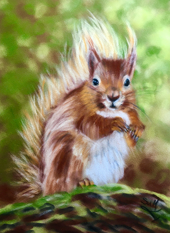 Red Squirrel Pastel Art Kit