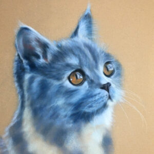 Blue Cat Pastel Art Kit