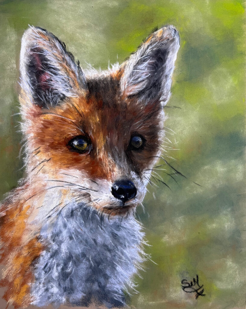 Fox painted in Pastel