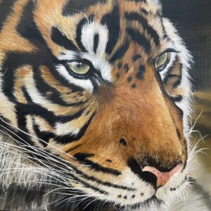 Tiger Oil Painting