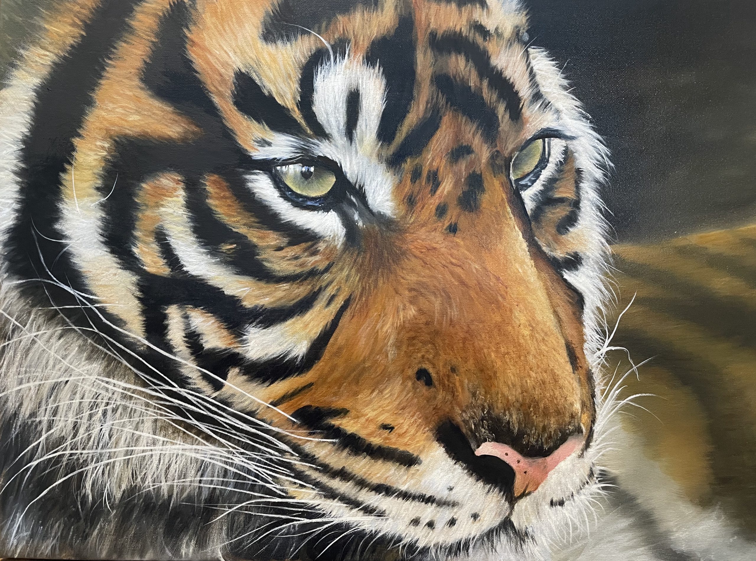 Tiger – Oil Painting
