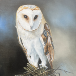 Barn Owl Oil Painting