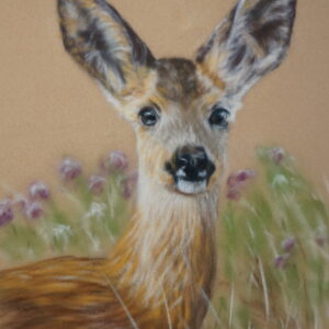 Roe Deer Pastel Tutorial